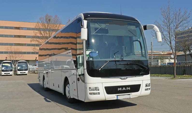 Geneva: Buses operator in Le Grand-Saconnex in Le Grand-Saconnex and Switzerland